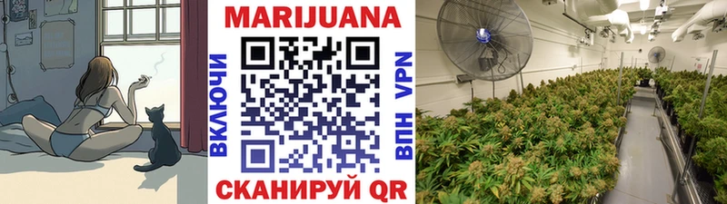 Шишки марихуана семена  Вышний Волочёк 